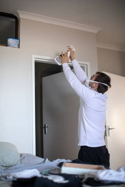 Environmental Consulting for Mold Prevention in Unionville, MO